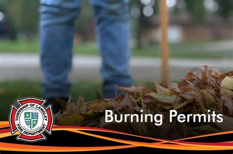 boiling spring lakes burn permit.